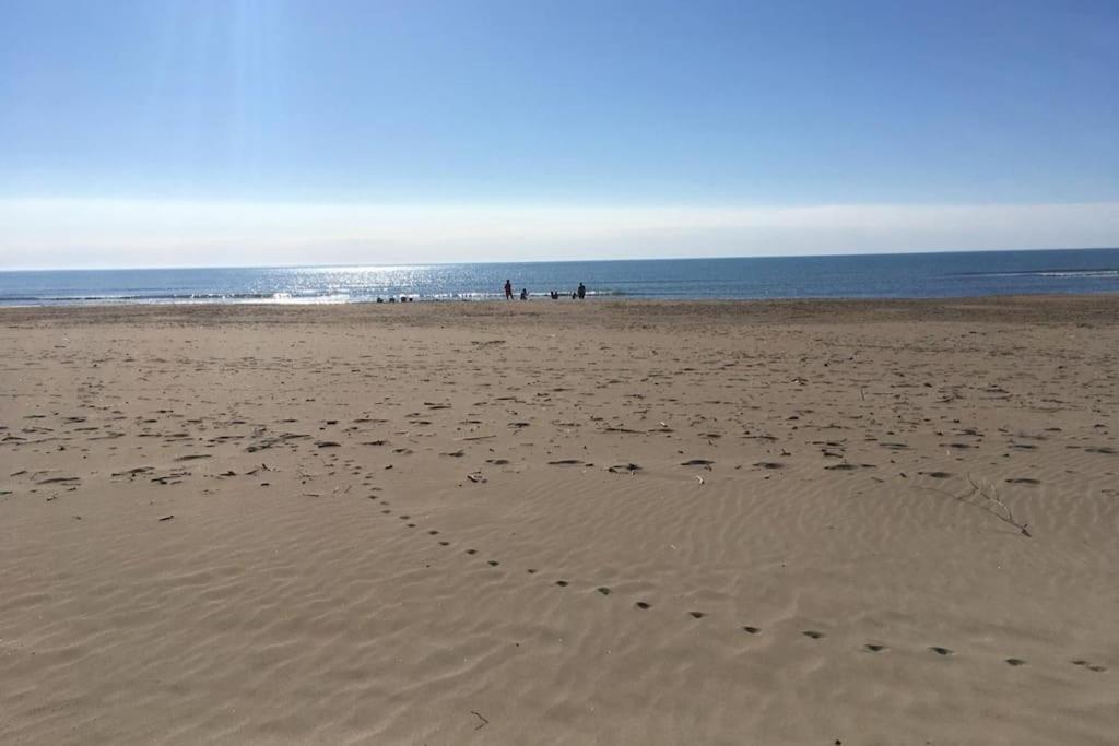 Neuf 4 Etoiles - Sunset Lodge, * Narbonne